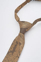 Junior Brown Paisley Tie